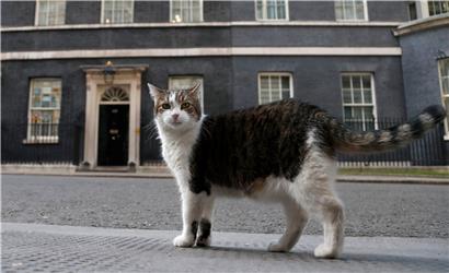 Downing Street: Mit „First Lord of the Treasury“ steht der erste Titel bis heute auf dem goldenen Schild der berühmten schwarzen Tür mit der Zahl 10, dem Amtssitz des britischen Premierministers
