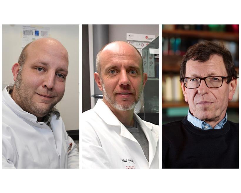 Dr. Alexander Skupin, Prof. Dr. Paul Wilmes und Dr. Claude Muller haben mit dem Tageblatt gesprochen
