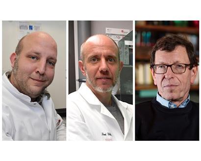 Dr. Alexander Skupin, Prof. Dr. Paul Wilmes und Dr. Claude Muller haben mit dem Tageblatt gesprochen
