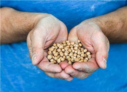Drei Milliarden Menschen können sich keine gesunde Ernährung leisten

