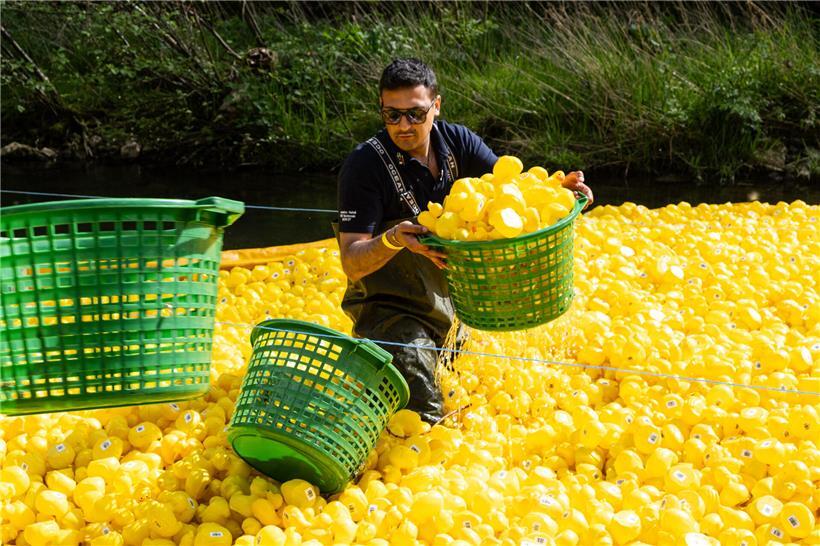 Gelbe Gummienten beim Duck Race 2026 auf einem Fluss, fröhliches Sommer-Event mit buntem Publikum am Ufer