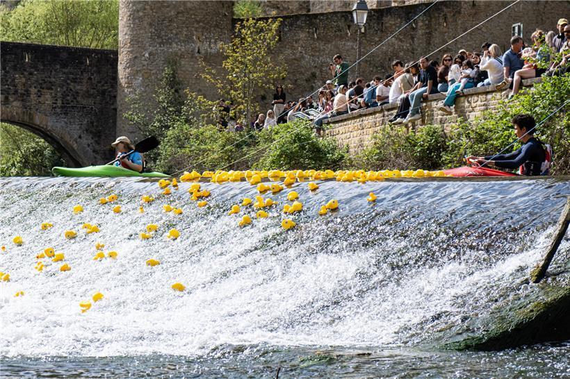 Gelbe Quietscheenten beim Duck Race 2026 auf einem Fluss, fröhliches Entenrennen im Sommerevent