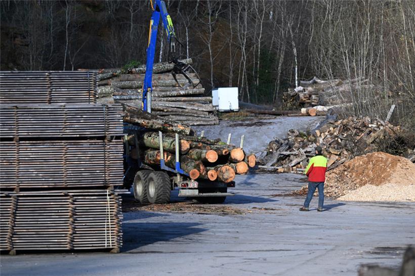 Düdelingen rechnet für 2025 mit Einnahmen von 20.000 Euro durch den Holzverkauf
