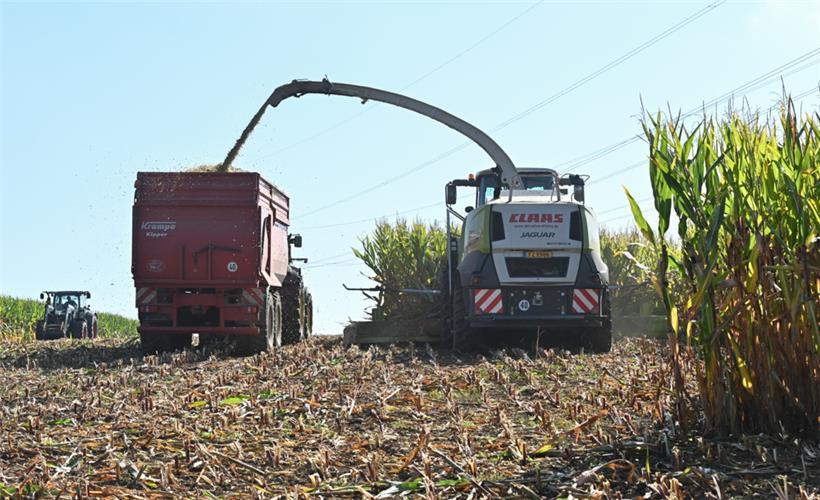 Düngemittel sind knapp und teuer: Wie die Ernte im Herbst ausfallen wird, lässt sich nur schwer voraussagen
