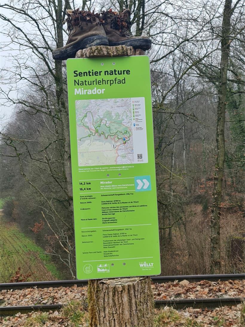 Durch das Naturschutzgebiet führen mehrere Wanderwege
