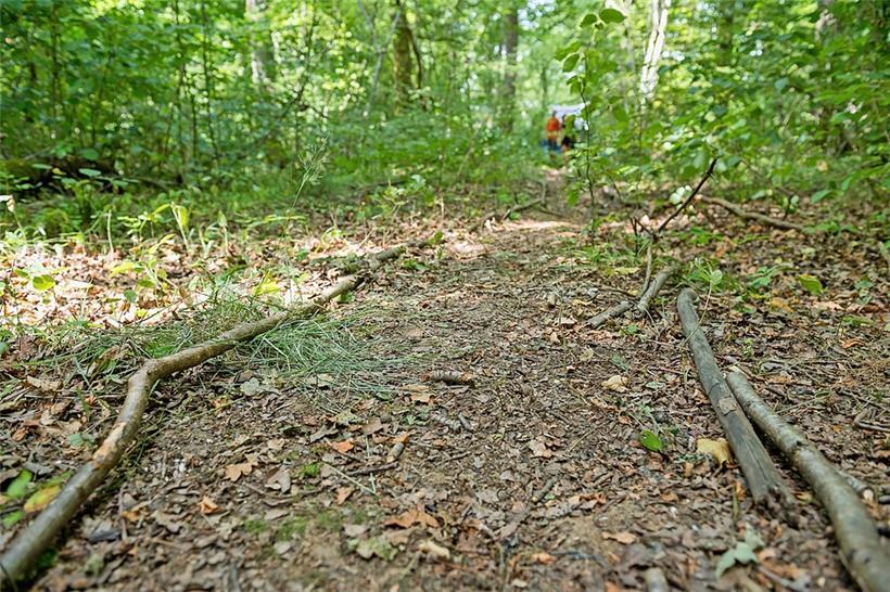 Durch diesen Wald soll die Umgehungsstraße Käerjeng-Sanem führen. Nicht alle ver...