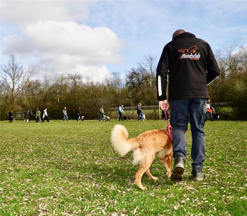 Durch klare und respektvolle Kommunikation soll in der Hundeausbildung eine harm...