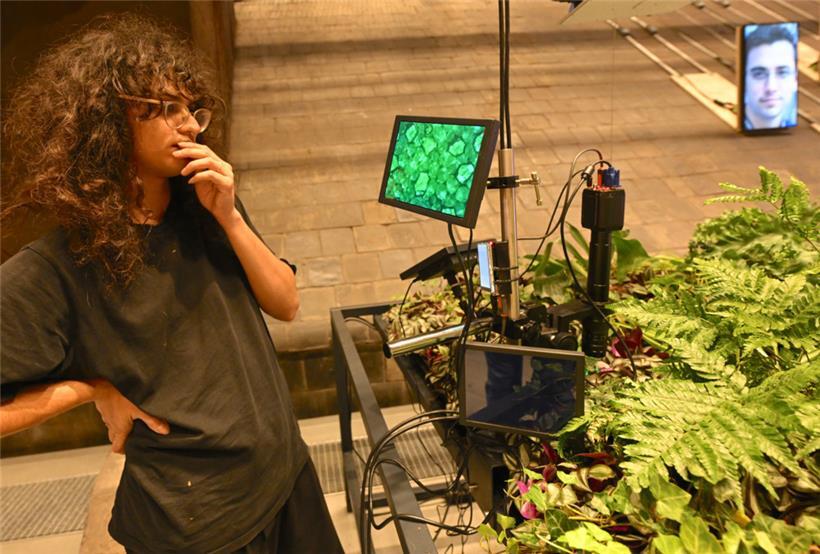 Echt verrückt: Franz von Assisi redete mit Tieren, diese Installation sucht die ...