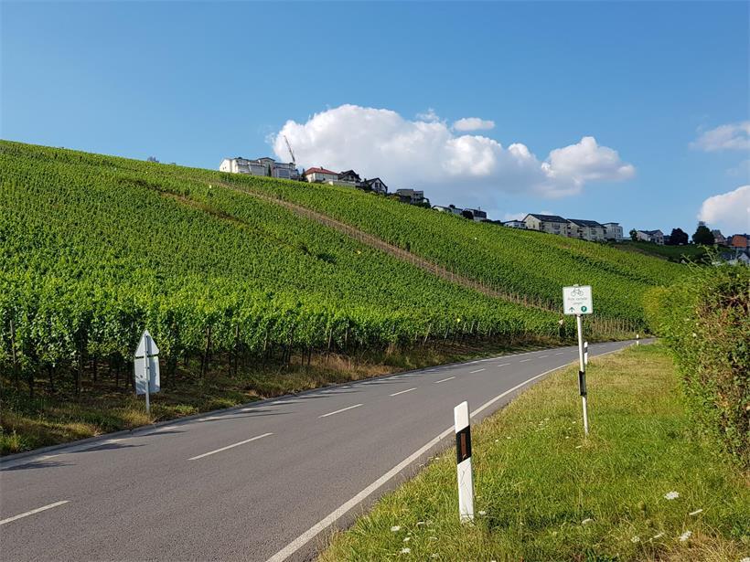 Ein 67-jähriger DP-Politiker verlor bei einem Unfall am Samstag das Leben