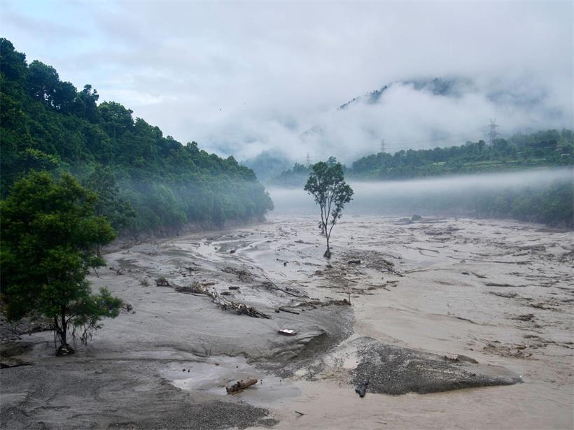 Ein Baum steht im Wasser, nachdem der Fluss Trishuli bei Sturzfluten über die Ufer getreten ist