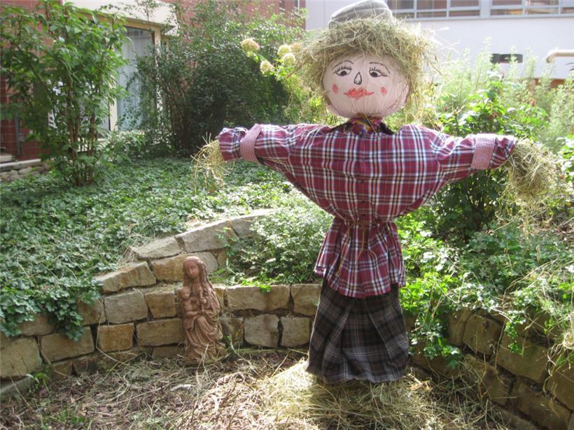 Ein Begleiter mit Erinnerungswert
