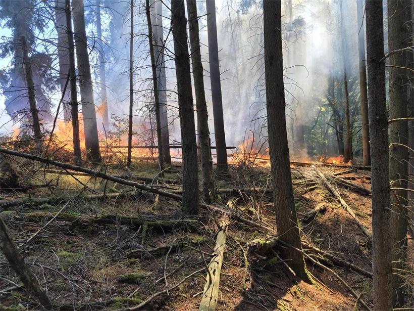 Ein Brand Anfang Juli bei Consdorf zeigt, welche Folgen Hitze und Trockenheit auch in Luxemburg haben