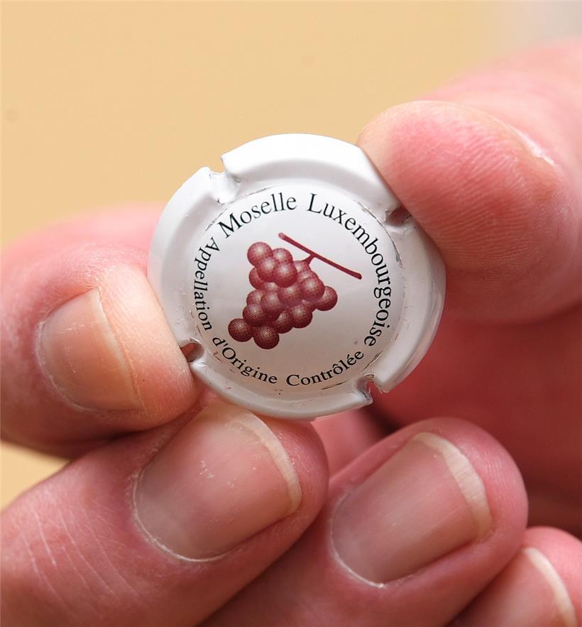 Ein Exemplar von der Mosel