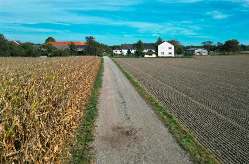 Ein Feldweg in Naarn. In Österreich ist eine Frau beim Joggen von einem Hund zu Tode gebissen worden. 
