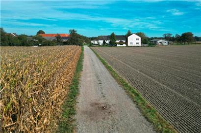 Ein Feldweg in Naarn. In Österreich ist eine Frau beim Joggen von einem Hund zu Tode gebissen worden. 
