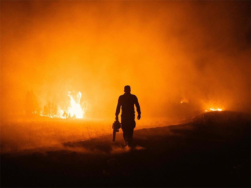 Ein Feuerwehrmann im Kampf gegen die Flammen: Ein Waldbrand 70 Kilometer nordöstlich von Belgrad