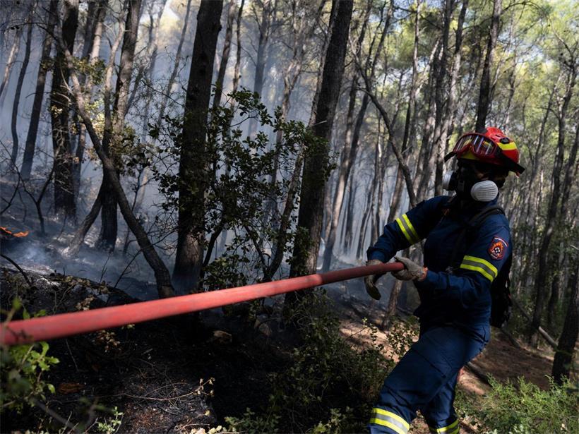 Ein Feuerwehrmann ist bei einem Waldbrand in der Nähe von Porto Germeno nordwestlich von Athen, im Einsatz