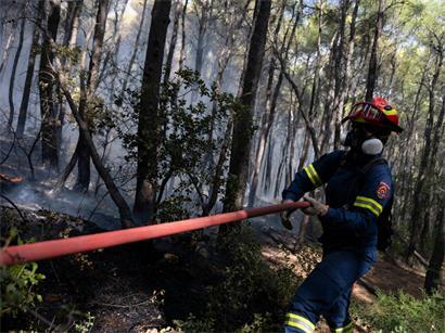 Ein Feuerwehrmann ist bei einem Waldbrand in der Nähe von Porto Germeno nordwestlich von Athen, im Einsatz