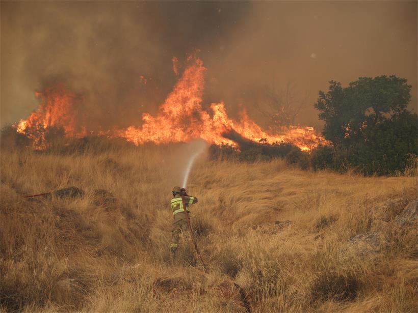 Ein Feuerwehrmann ist damit beschäftigt, einen seit vier Tagen wütenden Waldbrand in der Region Megara westlich von Athen zu löschen