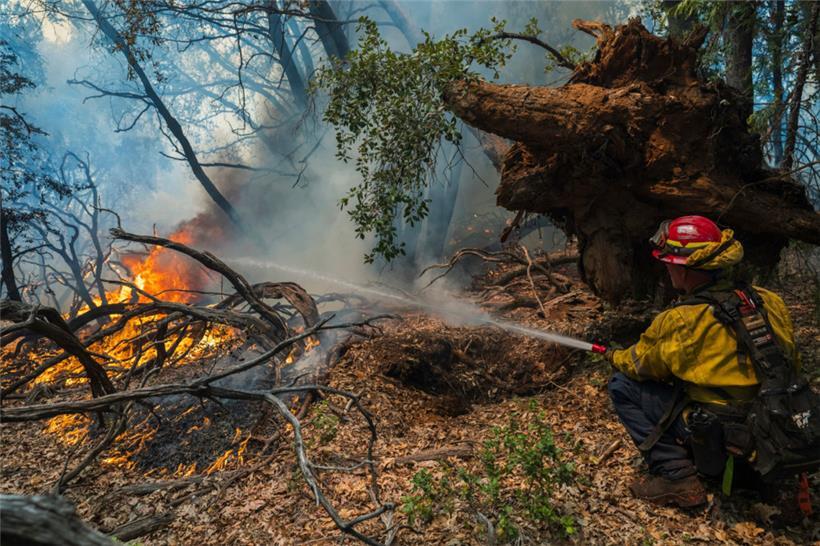Ein Feuerwehrmann versprüht Wasser auf das Park Fire, das in der Nähe von Forest Ranch, Kalifornien, brennt

