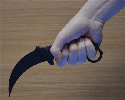 Ein „Karambit-Messer“
