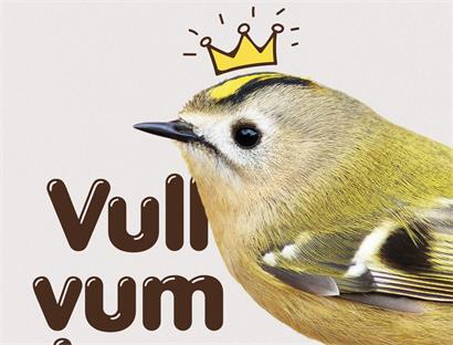 Ein Krönchen für das Wintergoldhähnchen