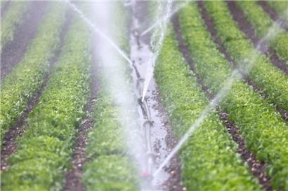Ein Landwirt hat anstelle seines Feldes die Autobahn bewässert
