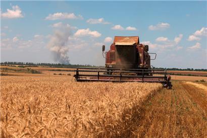 Ein Mähdrescher bei der Ernte am 4. Juli in der Region von Mykolajiw: Russland verhindert wieder den Export von ukrainischem Getreide
