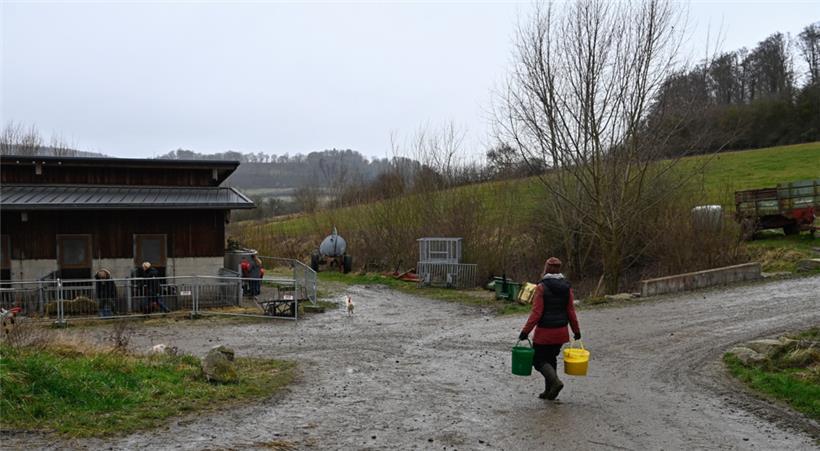 Ein Mal in der Woche kommen Schüler des „Ediff“-Zweiges des Lënster Lycée, um au...