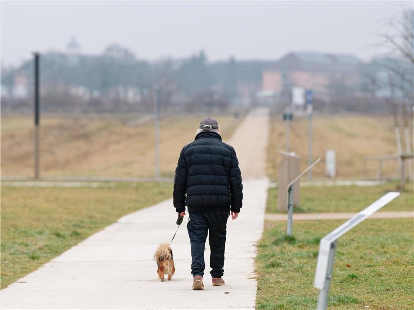 Mann geht mit Hund auf Weg im grünen Parkgelände der ehemaligen Bundesgartenschau spazieren