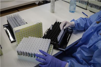 Ein Mitarbeiter bringt Anfang September Testampullen für das Large Scale Testing in einem „Rack“ an

