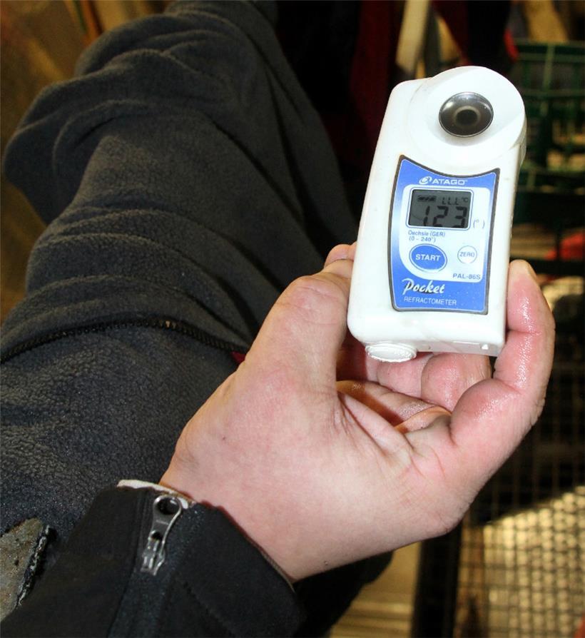 Ein Mostgewicht von mindestens 120° Oechsle ist Bedingung für die Produktion