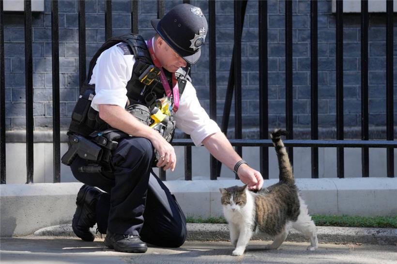 Ein Polizeibeamter streichelt Larry in der Downing Street – wer den Kater künftig füttert, könnte sich am Wochenende klären
