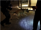 Ein Polizeihund auf dem Weg in die Hilton-Lobby