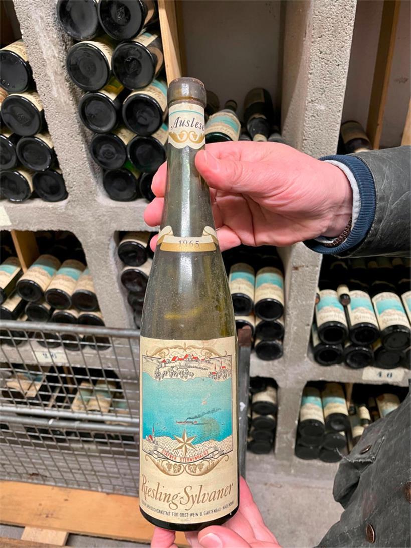 Ein Riesling-Sylvaner von 1965 aus dem Weinkeller des Weinbauzentrums Wädenswil