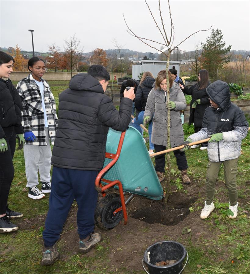 Ein Schüler füllt mit der Schubkarre frische Komposterde in das Loch
