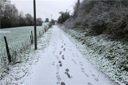 Ein Spaziergang an der frischen Luft hebt auch bei trübem Winterwetter die Laune – vor allem, wenn man mit anderen unterwegs ist
