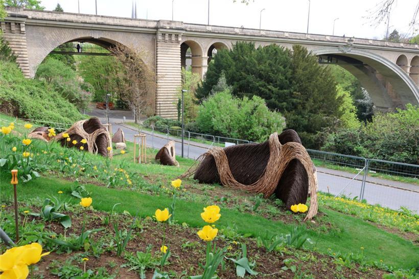 Ein „Special guest“ der LUGA ist Leon Kluge: Seine Installation „On the verge“ verziert einen Hang im Petruss-Tal.
