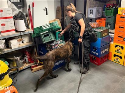 Spürhund bei Polizeikontrolle im Bahnhofsviertel schlägt bei mehreren Personen an