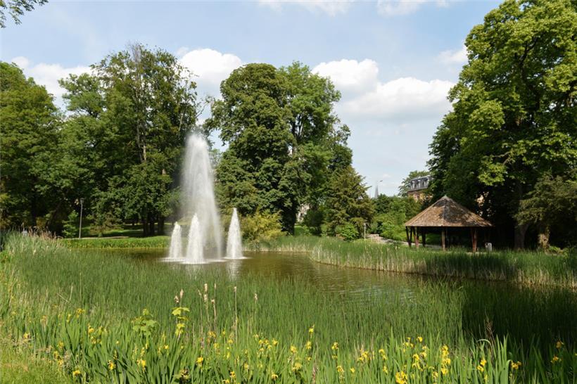 Ein Stadtpark ist gut – besser ist es, wenn auch bei den Straßen Grünflachen zu finden sind
