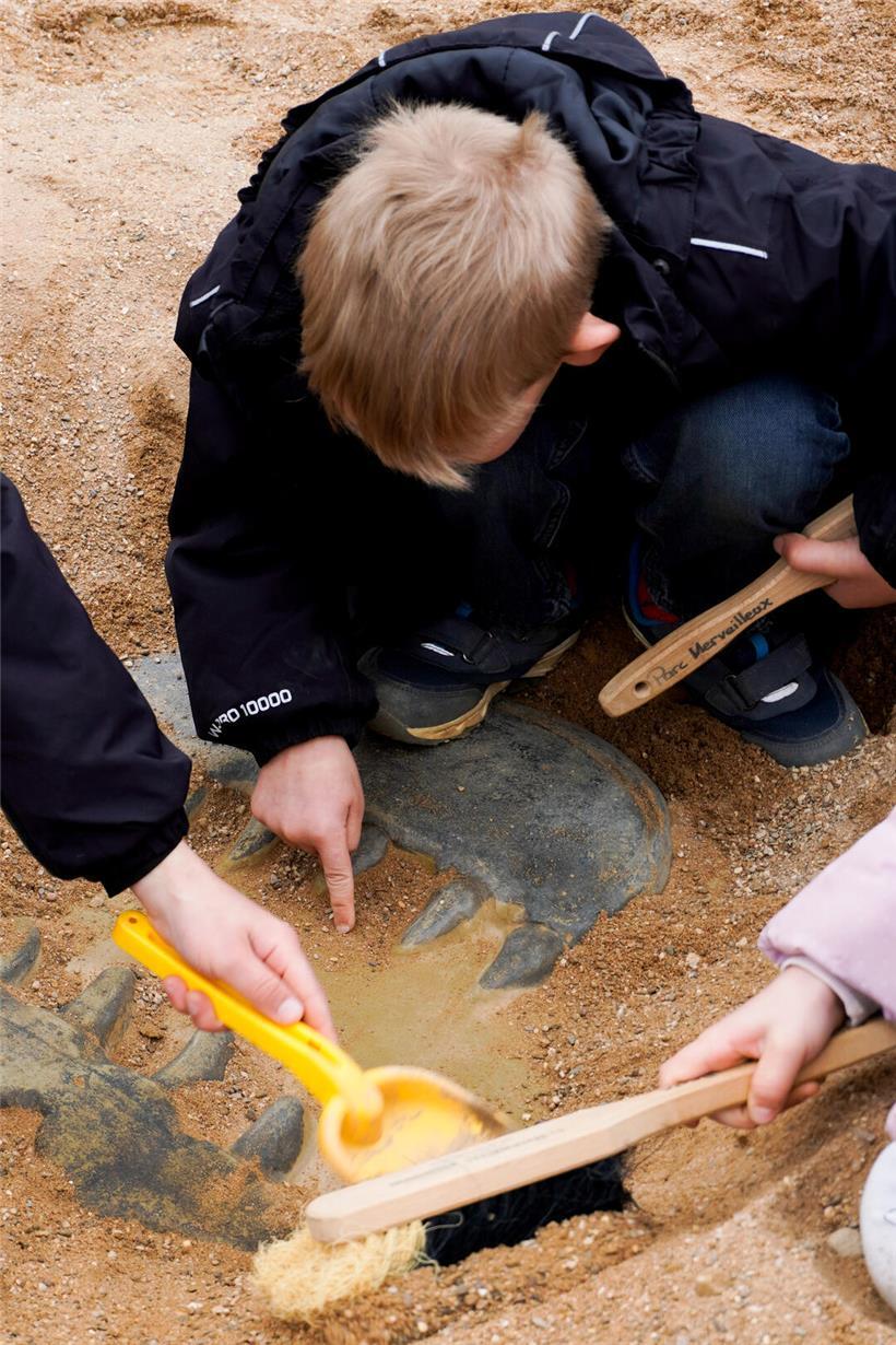 T-Rex Fossilien zum Ausgraben für Kinder – spannendes Dino-Ausgrabungsset mit realistischem Tyrannosaurus Rex Modell