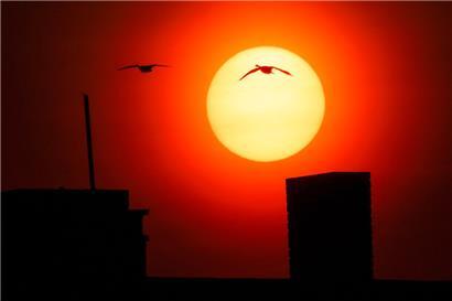 Ein Temperaturanstieg um 2,7 Grad dürfte die „Bewohnbarkeit“ der Erde grundlegend verändern
