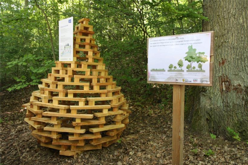 Ein Tropfen … aus Holz? Natürlich haben das Wasser und der Wald viel miteinander zu tun.
