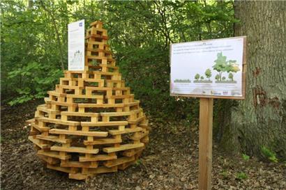 Ein Tropfen … aus Holz? Natürlich haben das Wasser und der Wald viel miteinander zu tun.
