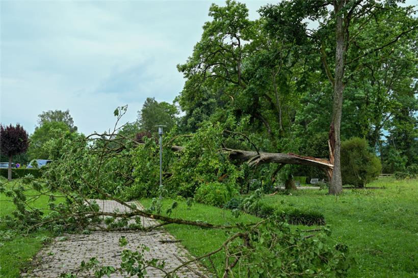 Ein Unwetter sorgte 2024 für größere Schäden im Park

