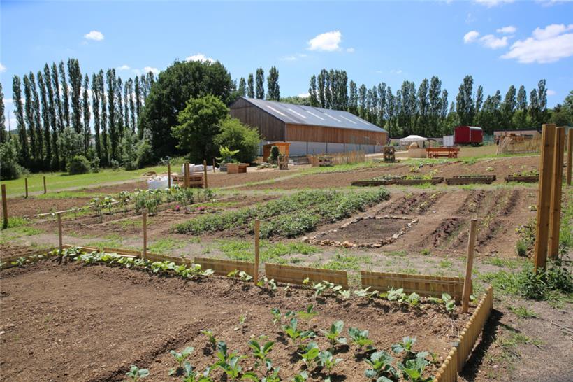 Ein Vorzeigeprojekt: die Gemeinschaftsgärten im Matgesfeld in Sanem
