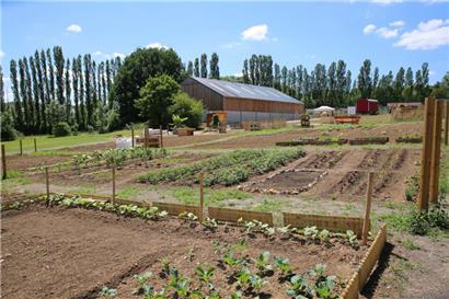 Ein Vorzeigeprojekt: die Gemeinschaftsgärten im Matgesfeld in Sanem
