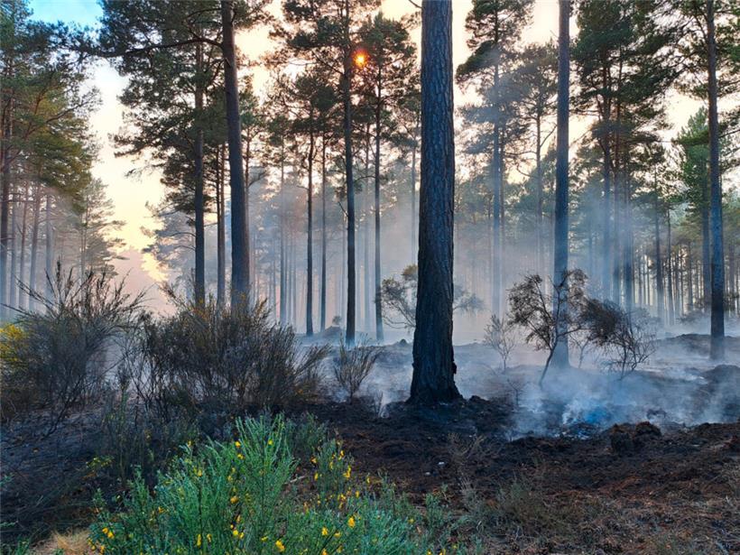 Ein Waldbrand im Culbin Forest in der Nähe von Forres in Moray (Schottland)
