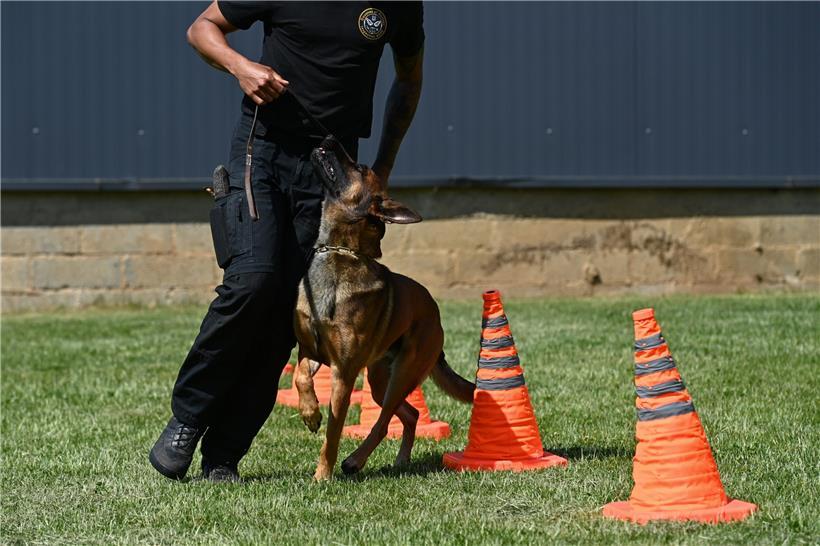 Ein eingespieltes Team: ein Trainer mit seinem Spürhund
