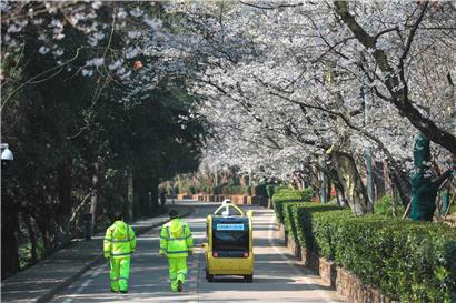 Ein fahrerloses Fahrzeug überträgt am 17. März 2020 Live-Bilder von Kirschblüten an der Universität Wuhan in der zentralchinesischen Provinz Hubei. Da der Campus, der landesweit für seine Kirschblüten bekannt ist, wegen des Coronavirus geschlossen ist, können die Bäume nun täglich im Livestream verfolgt werden.
